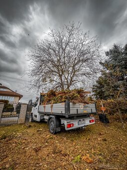 Ponúkam odvoz konárov a haluzí z dvorov a záhrad - 4