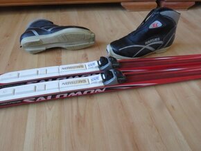 Predam bezkovy set,SALOMON,193 cm,SNS,c.8,supiny - 4