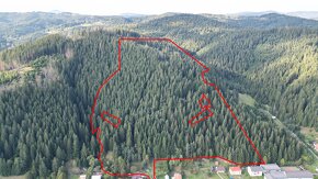 Korňa – 20.800 m2 LES s prístupom z obce - Na predaj - 4