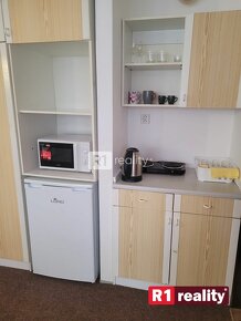 Prenájom apartmánov v širšom centre Piešťan - 4