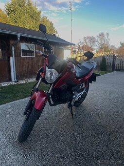 Honda cbf 125 - 4