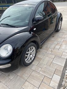 Beetle - 4