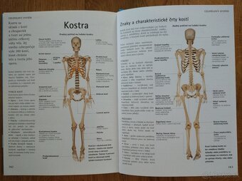 Atlas ľudského tela - 4