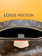 Louis Vuitton Ledvinka - 4