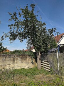 Na predaj starší rodinný dom s veľkou záhradou, Jablonica. - 4