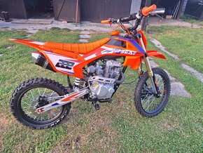 Pitbike UPBEAT 250cc 19/16" E-START - 4