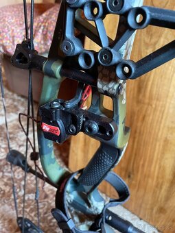 Hoyt nitrux - 4