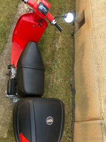 Honda Scoopy - 4