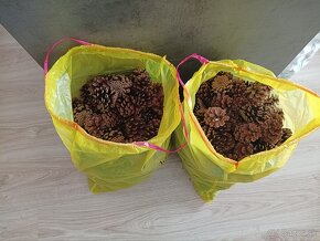 Borovicové šišky - 26 € za 1 vrece (cca 3 kg) - 4