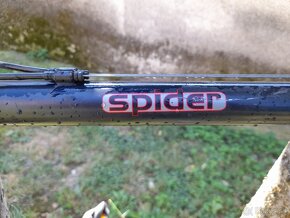 Kellys Spider - 4