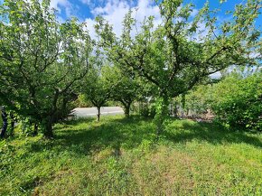 6-izb. RD Stupava, TOP lokalita, pri kaštieli, vonkajší bazé - 4