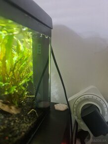 Akvarium 10 litrove - 4