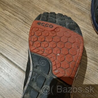 Ecco Biom - 4