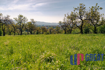 PREDAJ - pozemok (záhrada, ovocný sad), Nové Mesto nad Váhom - 4