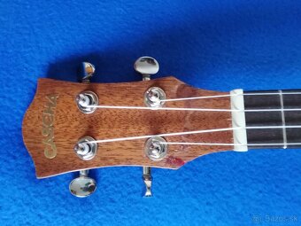 Predam ukulele CASCHA HH2047E. - 4