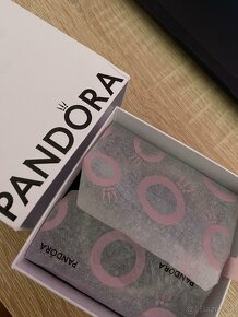 Pandora náramok Moments strieborný - 4