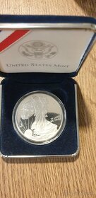 U.S. MINT PROOF SILVER EAGLE - 38ks - 4