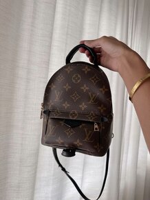 Louis Vuitton Backpack Palm Spring Mini monogram - 4