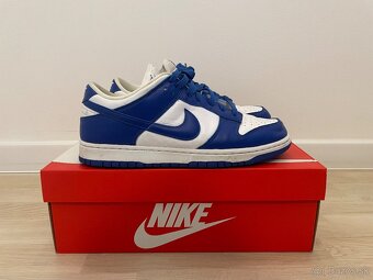 Nike Dunk Low Kentucky 43 - 4