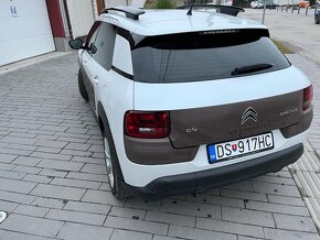 C4 Cactus - 4