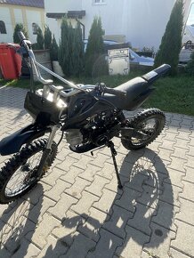 Predam Pitbike 125ccm - 4