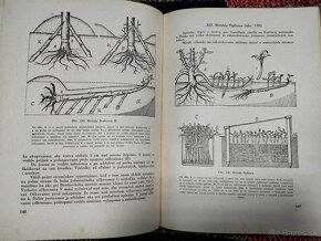 Štepenie a zakoreňovanie ovocných stromov--1954-–Štefan Chle - 4