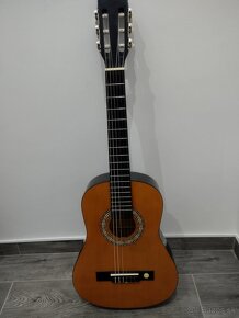 Gitara - 4