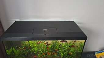 Akvarium Juwel - 4