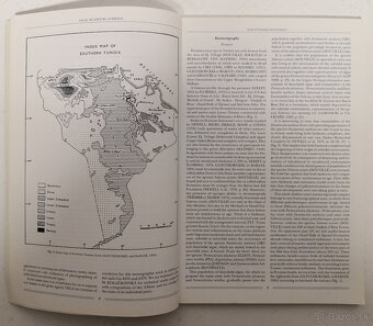 Zemný plyn a nafta 1998 - 4