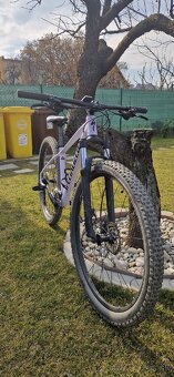 Specialized Rockhopper comp 29' - 4