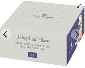 Seymour panther Royal Tudor Beasts 2 Oz 2022 - 4