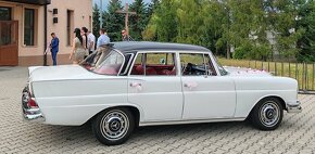 Svadobne auto na svadbu Mercedes 230S rv 1966 - 4