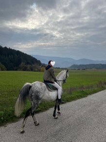 Ponuka na polovičný prenájom - 4