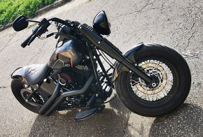 Harley Davidson Softail FLSTF - 4