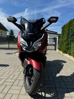 Honda forza 125 11kw - 4