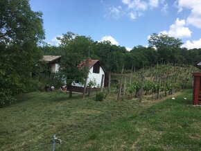 Pozemok s vinicou - 4