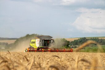 Claas Lexion 770TT 2014 - 4