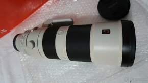 Sony 200-600 G OSS - 4