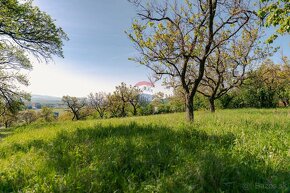 PREDAJ - pozemok (záhrada, ovocný sad), Nové Mesto nad Váhom - 4