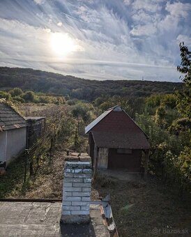 Na predaj vinica s 2 chatkami v Štúrove ( 2537 m2) - 4