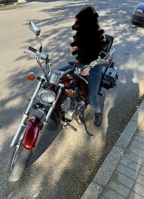 predam vymenim Honda Shadow - 4