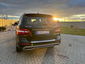 ML 350 BlueTec - 4