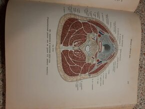 Anatomia človeka I-III - 4