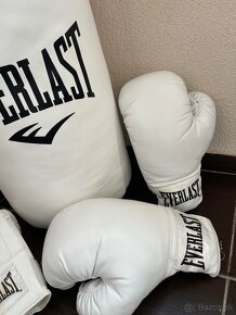 Vrece a rukavice na box EVERLAST - 4