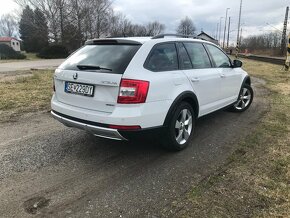 Skoda Octavia Scout 4x4 2019 2.0 TDI - 4