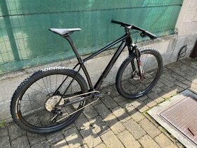 Workswell 29er Carbon HT - 4