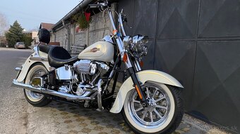 Harley Davidson Softail 110” - 4