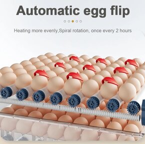 Automatická liaheň na 64 vajec - 4