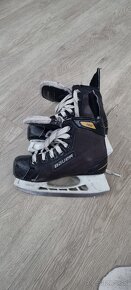 Bauer 31 - 4