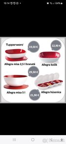 Misky Allegra Tupperware - 4